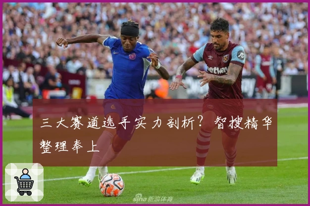 三大赛道选手实力剖析？智搜精华整理奉上