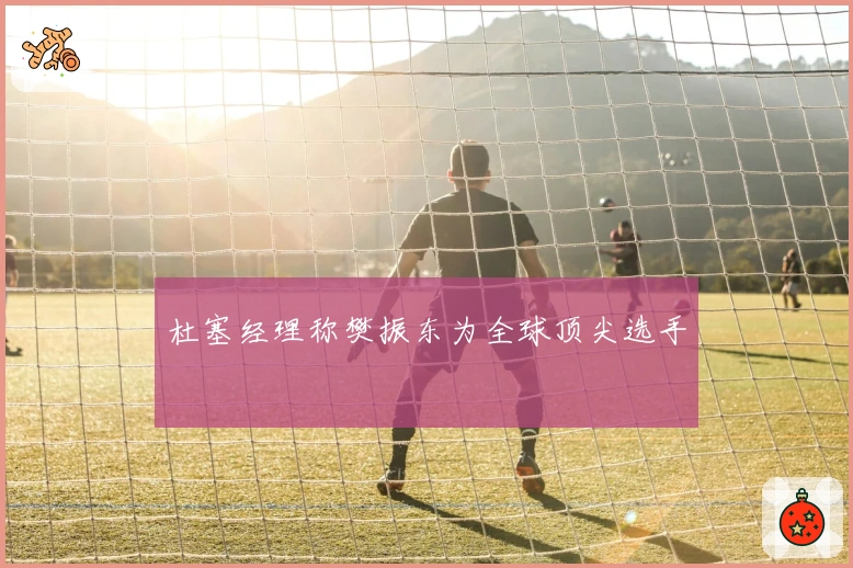 杜塞经理称樊振东为全球顶尖选手