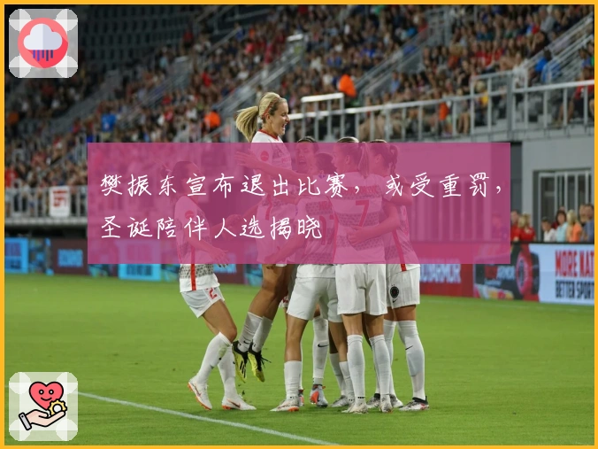 樊振东宣布退出比赛，或受重罚，圣诞陪伴人选揭晓