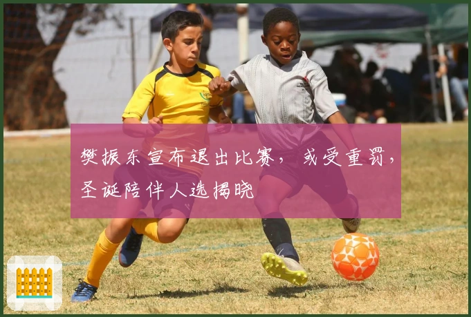 樊振东宣布退出比赛，或受重罚，圣诞陪伴人选揭晓