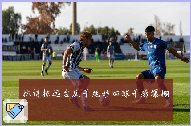 林诗栋远台反手绝妙回球手感爆棚