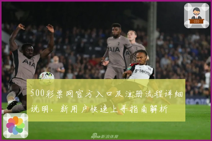 500彩票网官方入口及注册流程详细说明，新用户快速上手指南解析