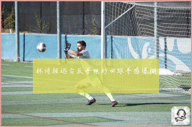 林诗栋远台反手绝妙回球手感爆棚